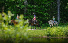 USA-Vermont-Green Mountain Getaway